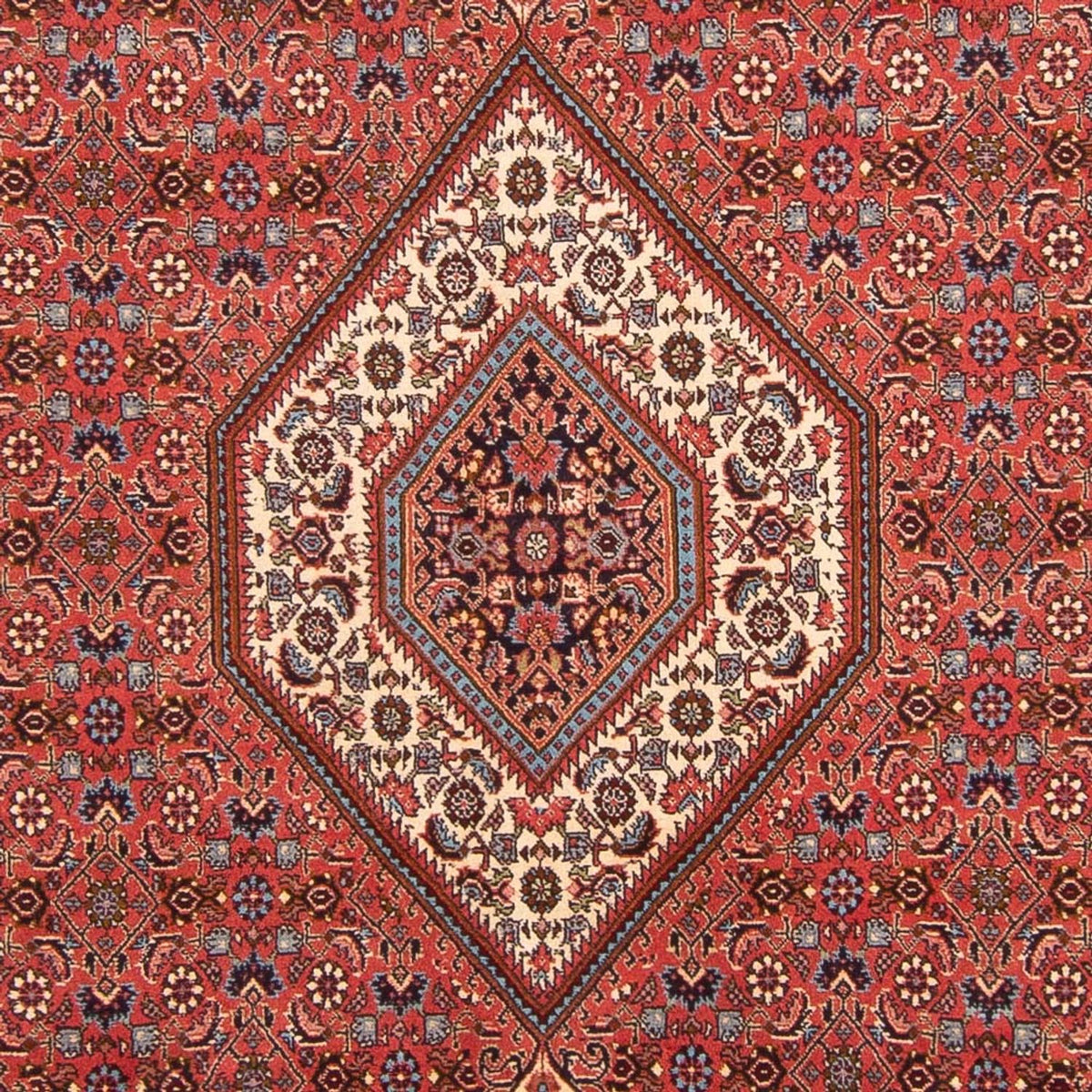 Perserteppich - Bidjar - Royal - 290 x 204 cm - rot