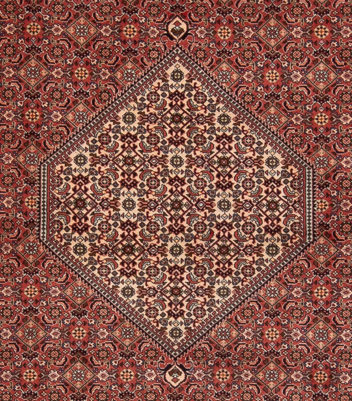 Perserteppich - Bidjar - Royal - 340 x 250 cm - dunkelrot