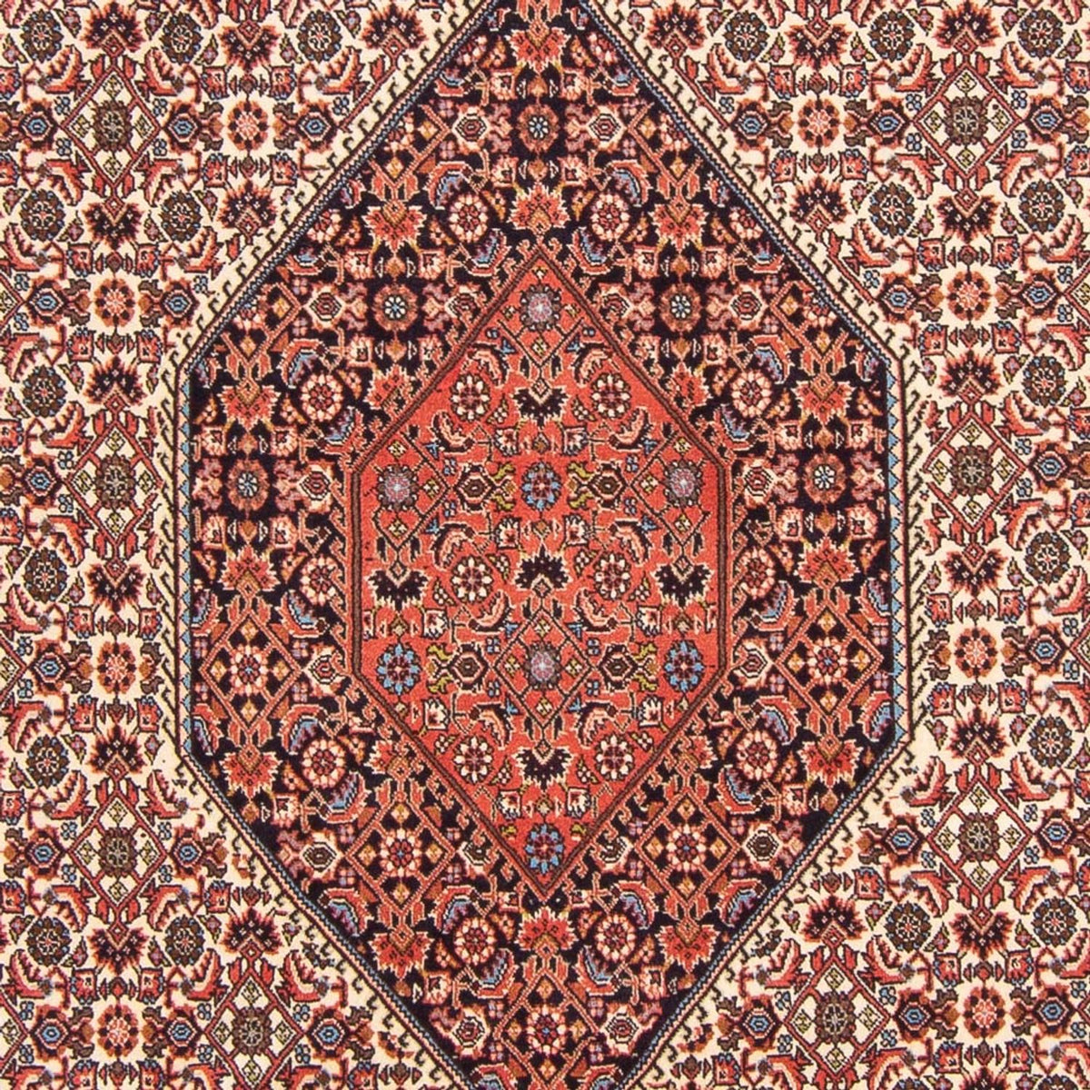 Perserteppich - Bidjar - Royal - 303 x 200 cm - rot