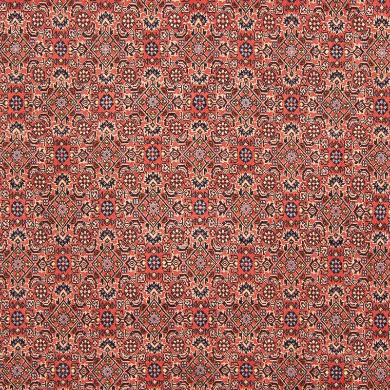 Perserteppich - Bidjar - Royal - 298 x 196 cm - rot