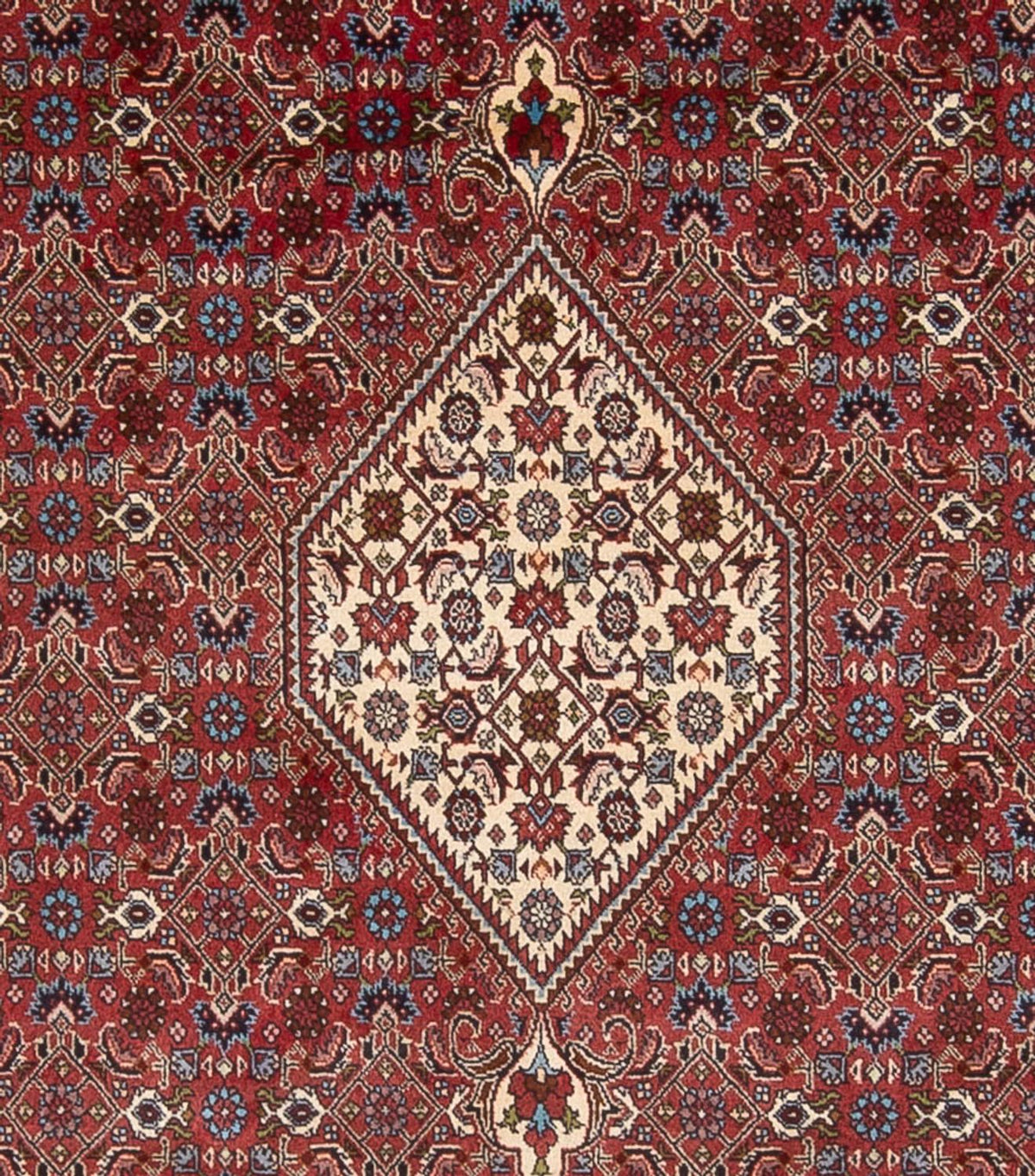 Perserteppich - Bidjar - Royal - 294 x 253 cm - dunkelrot