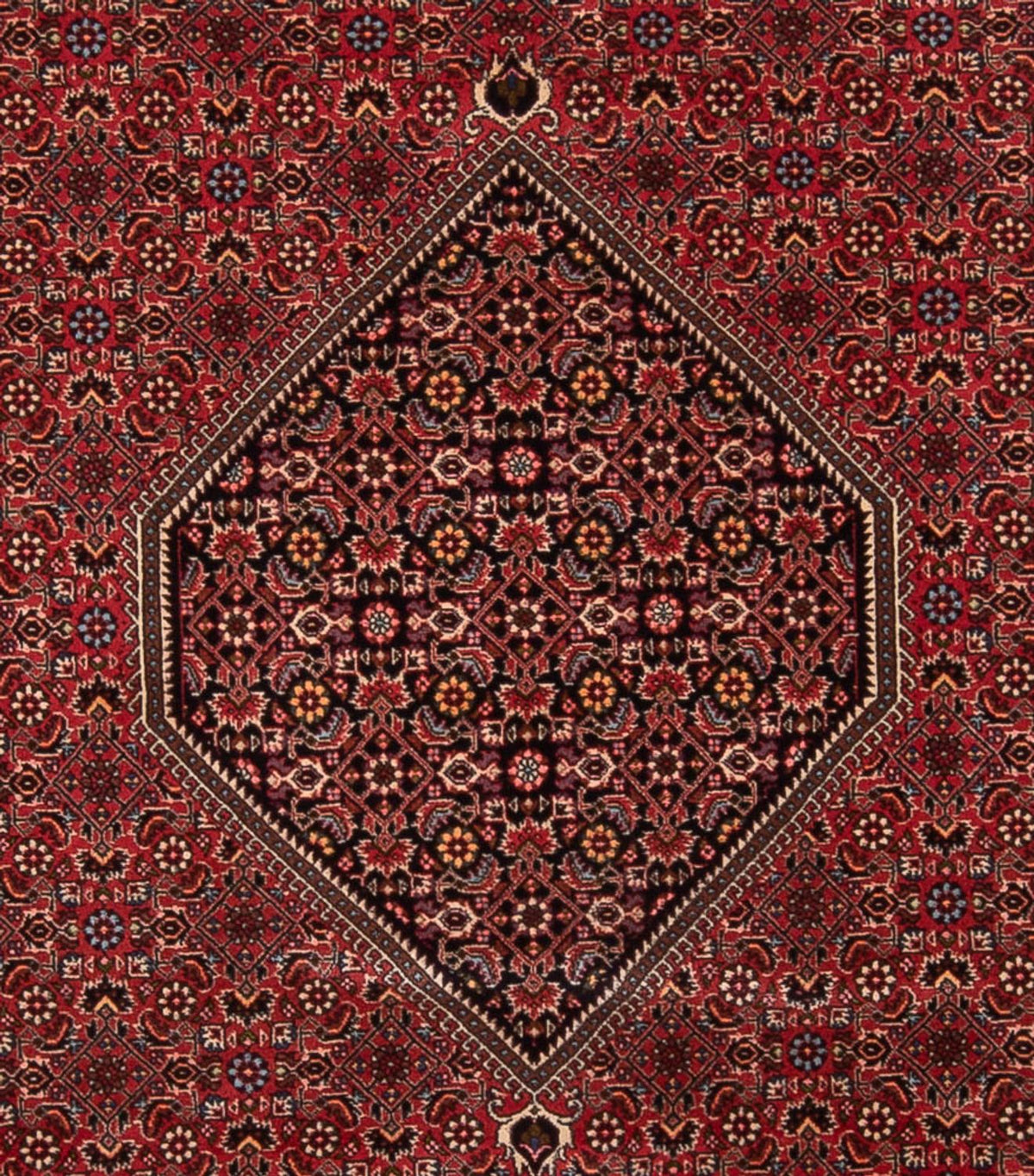 Perserteppich - Bidjar - Royal - 347 x 247 cm - rot