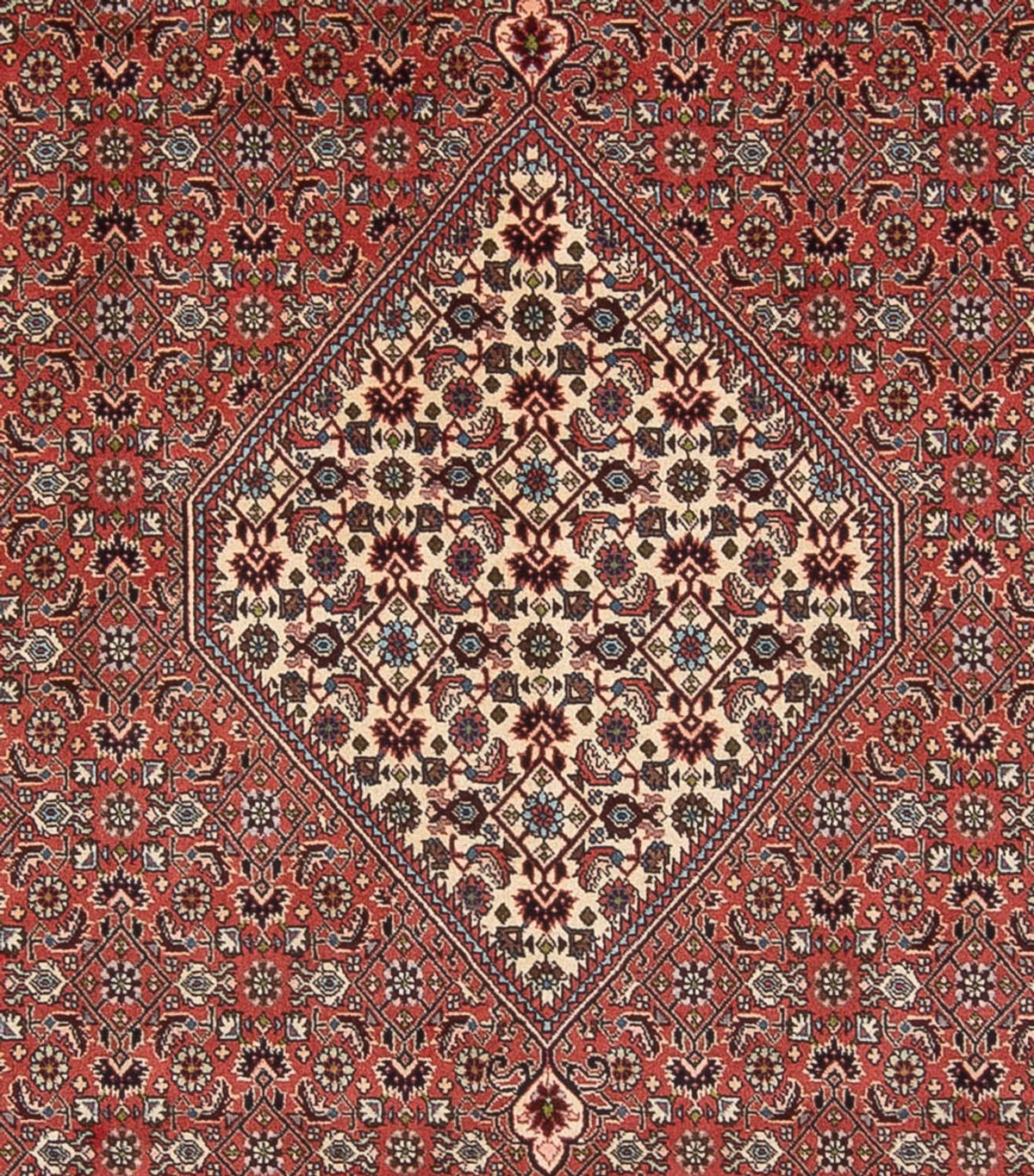 Perserteppich - Bidjar - Royal - 334 x 248 cm - hellrot