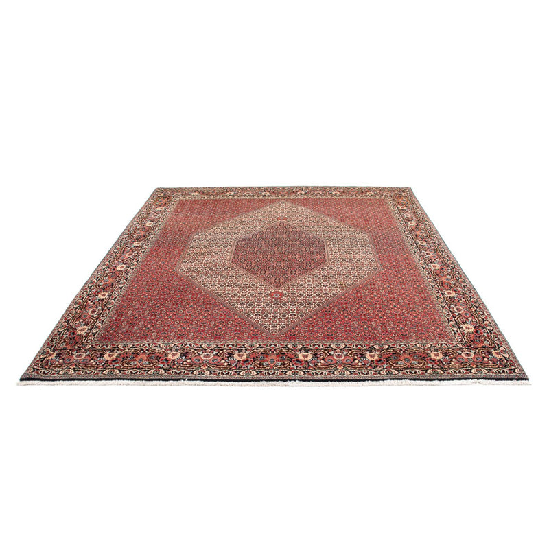 Perserteppich - Bidjar - Royal - 300 x 253 cm - creme