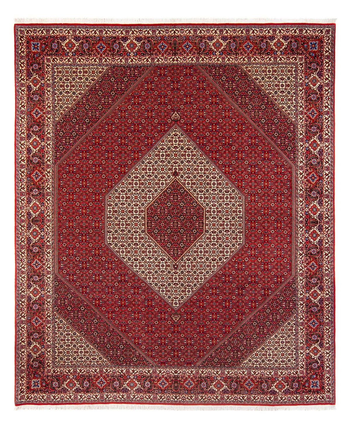 Perserteppich - Bidjar - Royal - 301 x 253 cm - creme