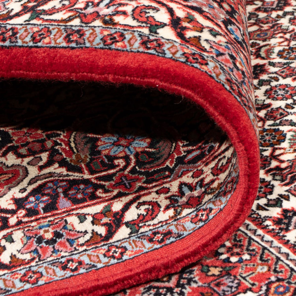 Perserteppich - Bidjar - Royal - 301 x 253 cm - creme