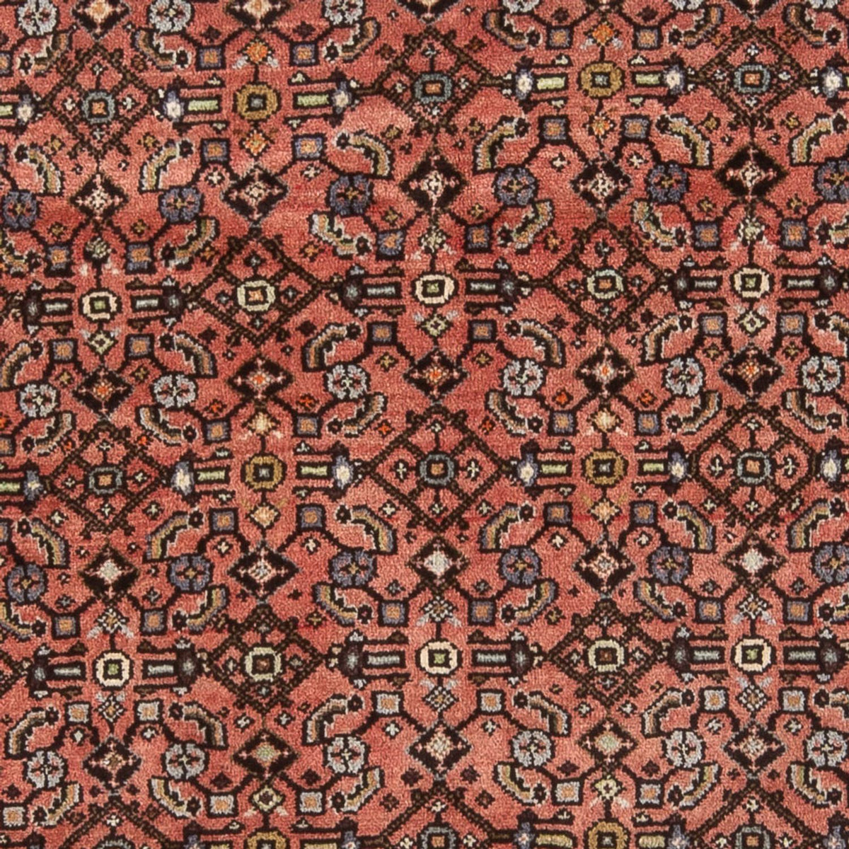 Perserteppich - Nomadic - 200 x 150 cm - rot