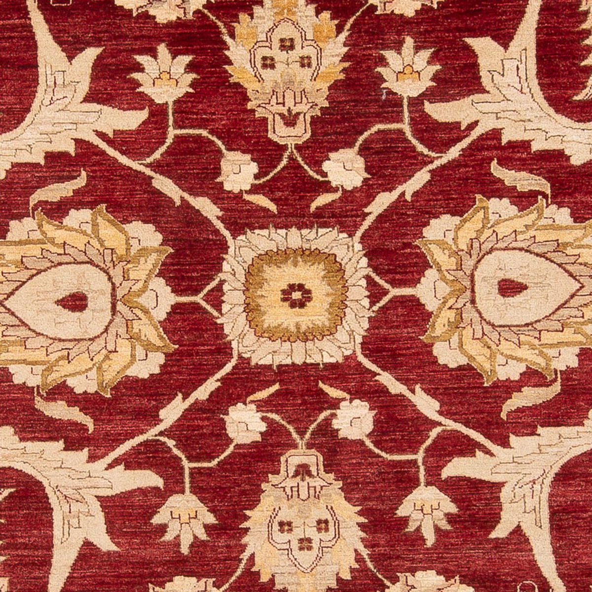 Ziegler Teppich - 371 x 298 cm - rot