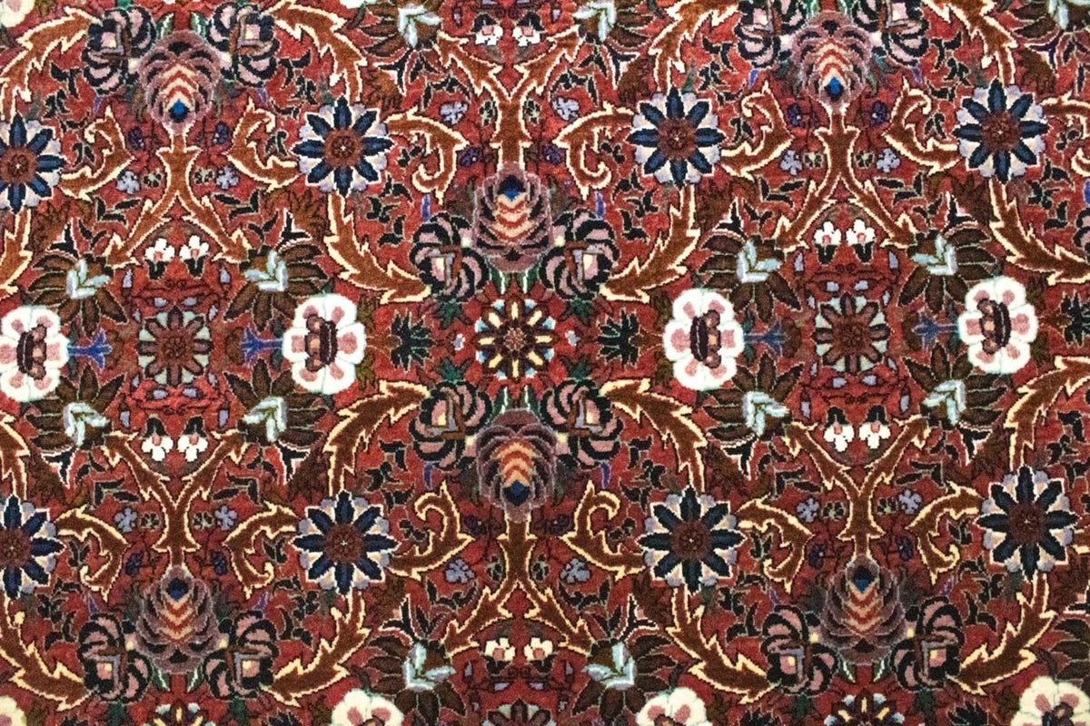 Perserteppich - Bidjar 298 x 207 cm