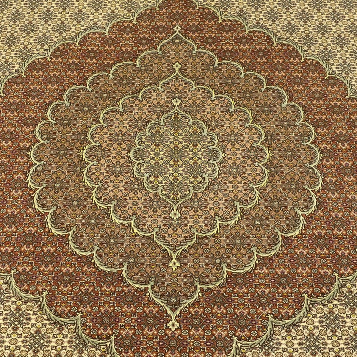 Perserteppich - Täbriz - Royal - Royal - 351 x 250 cm - dunkelbeige