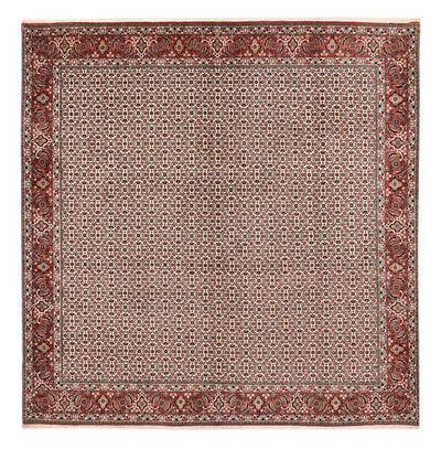 Bidjar Teppich 304x306cm - Perserteppich