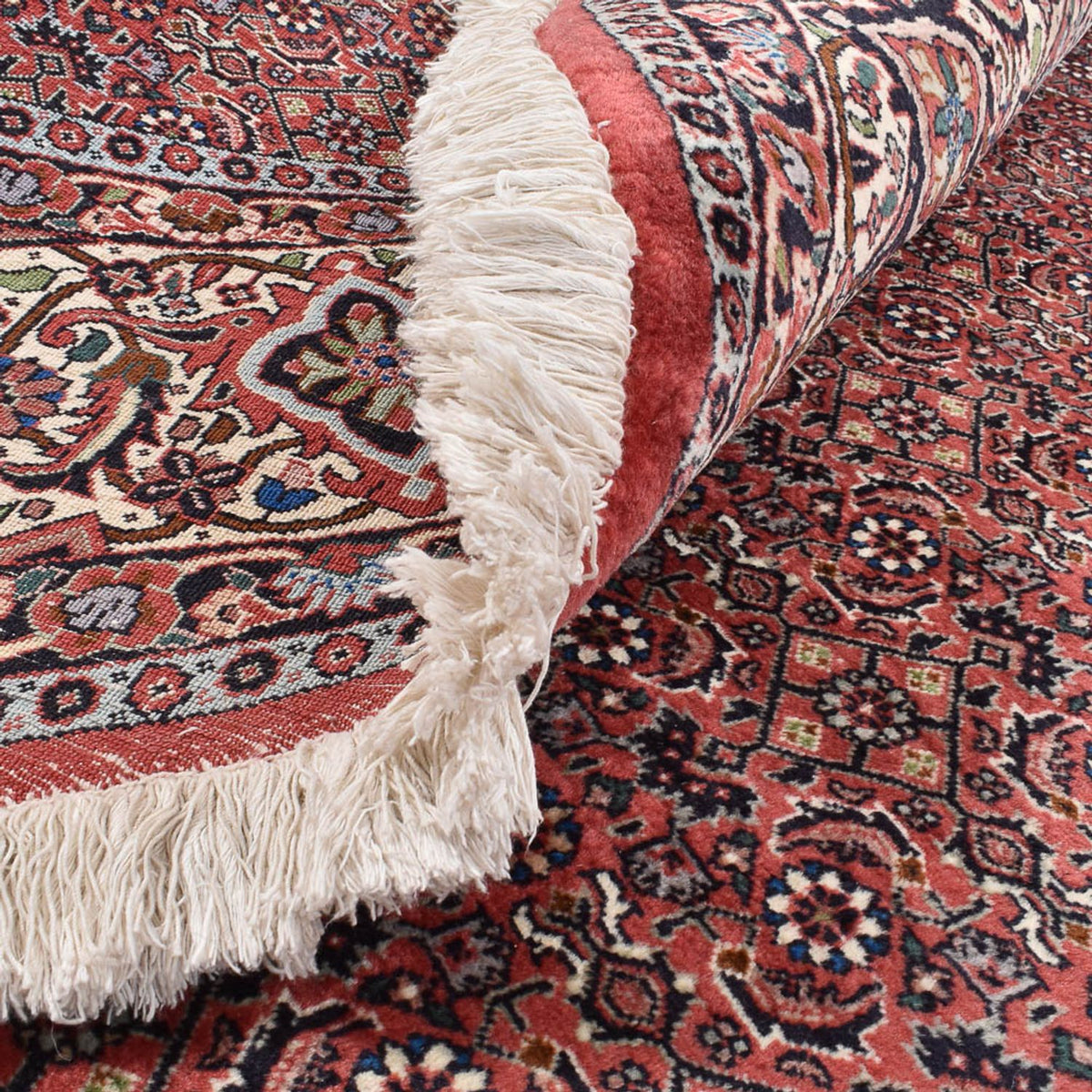 Perserteppich - Bidjar rund  - 300 x 300 cm - bordeauxrot