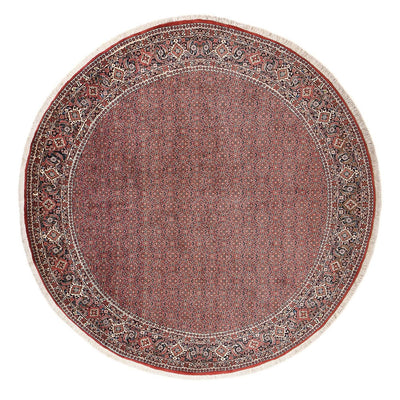Bidjar Teppich 300x300cm - Perserteppich