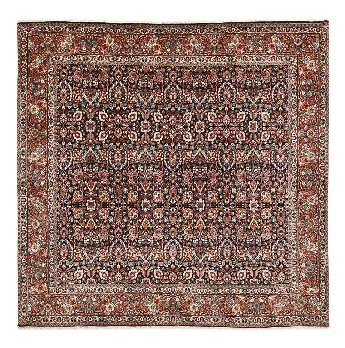 Perserteppich - Bidjar quadratisch  - 252 x 252 cm - rost