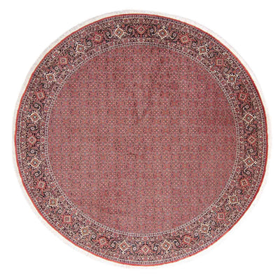 Bidjar Teppich 305x305cm - Perserteppich