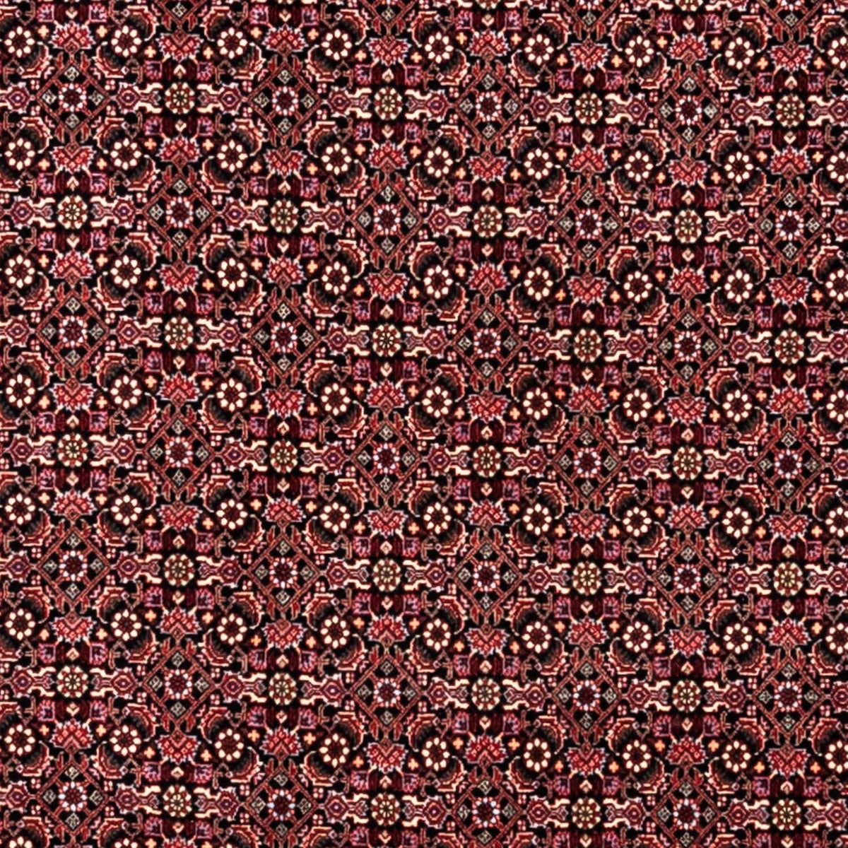 Perserteppich - Bidjar - Royal 346 x 250 cm - dunkelrot