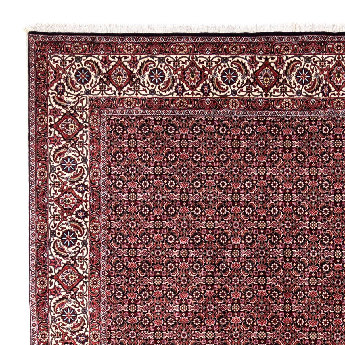 Perserteppich - Bidjar - Royal 346 x 250 cm - dunkelrot