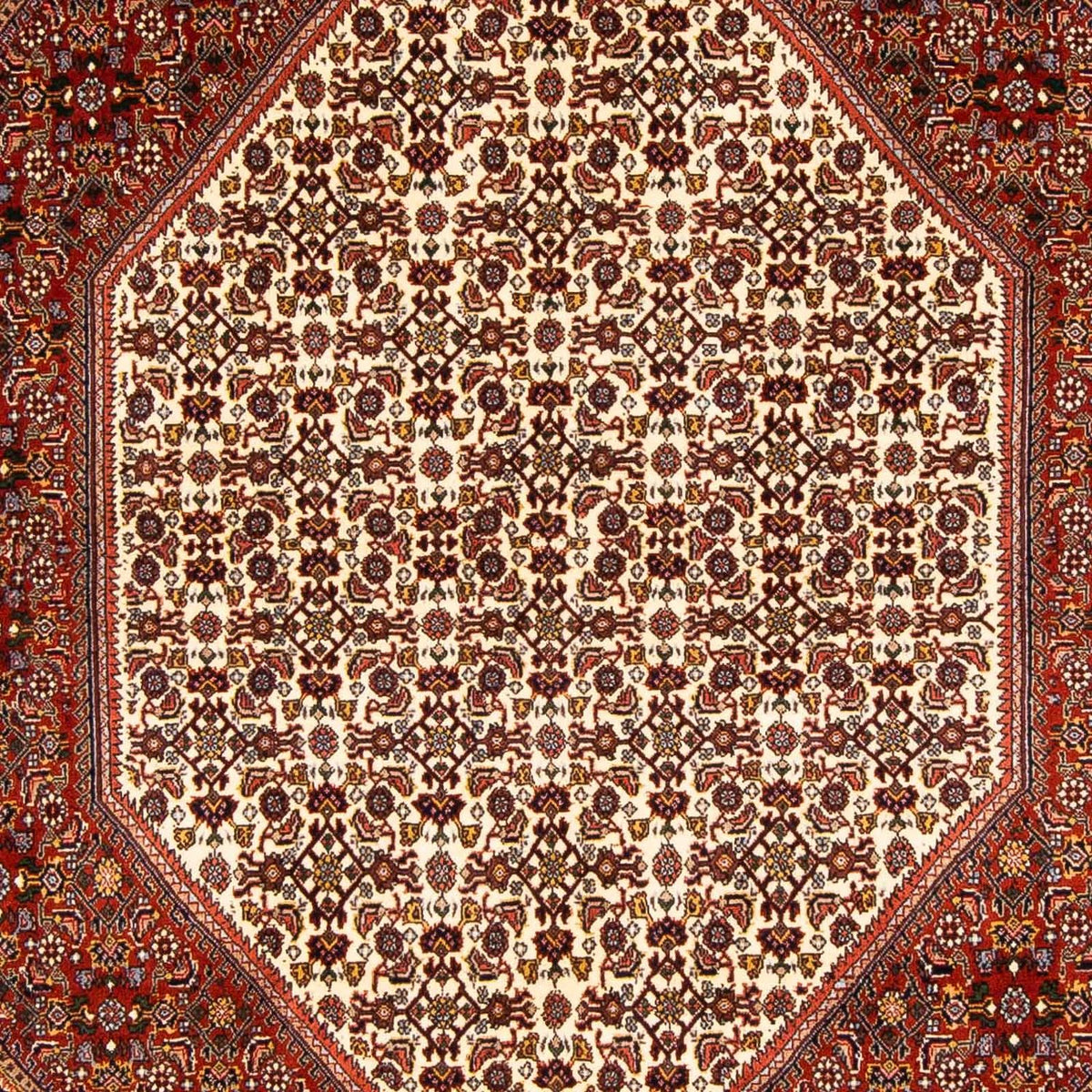 Perserteppich - Bidjar 231 x 163 cm