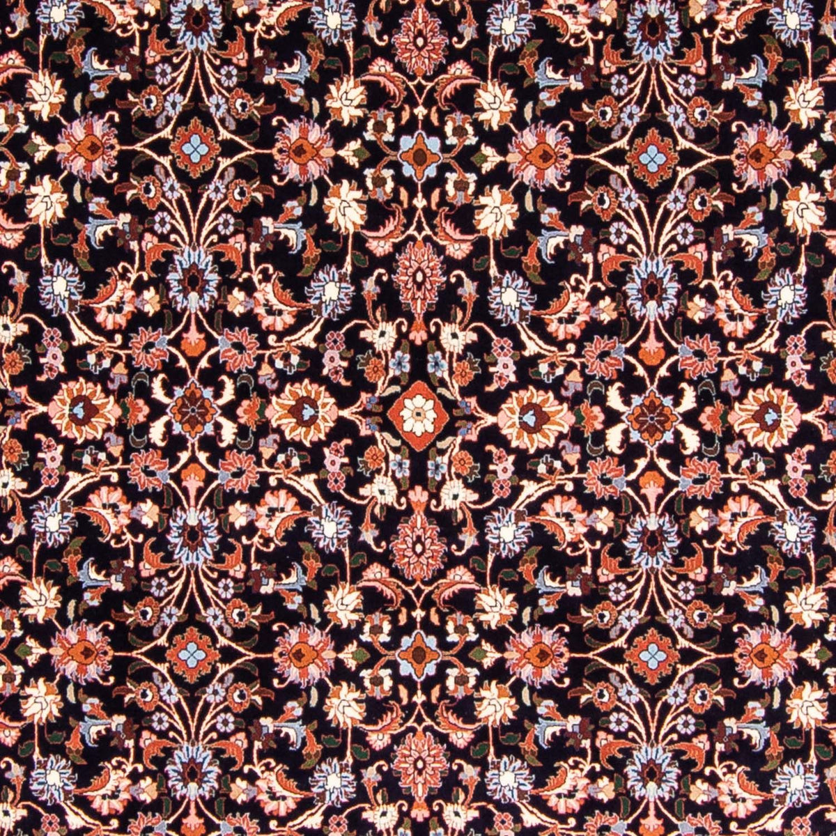 Perserteppich - Bidjar 350 x 243 cm