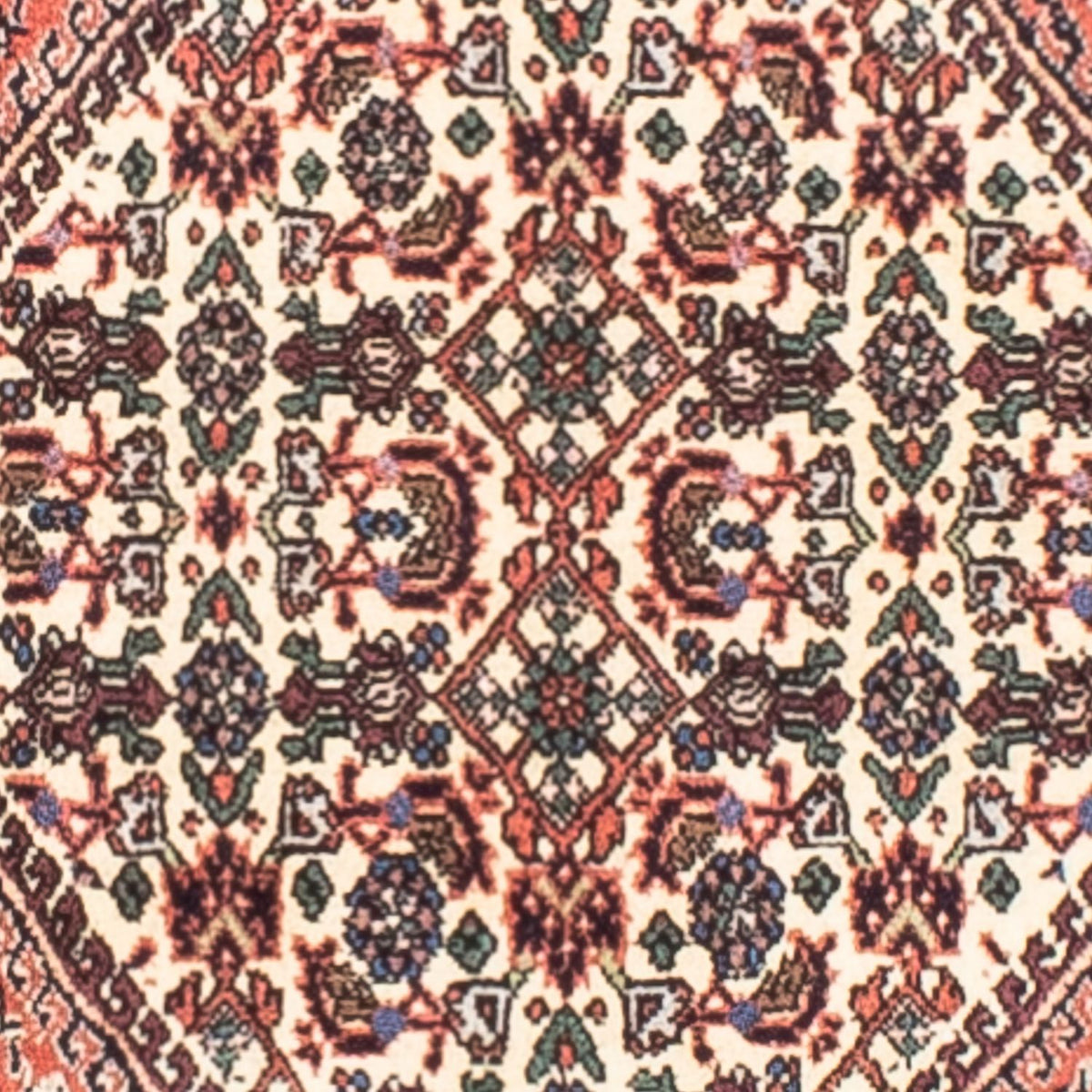 Perserteppich - Bidjar 164 x 109 cm