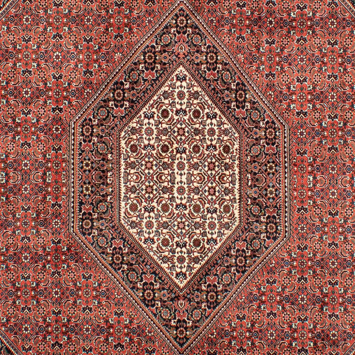 Perserteppich - Bidjar 300 x 203 cm