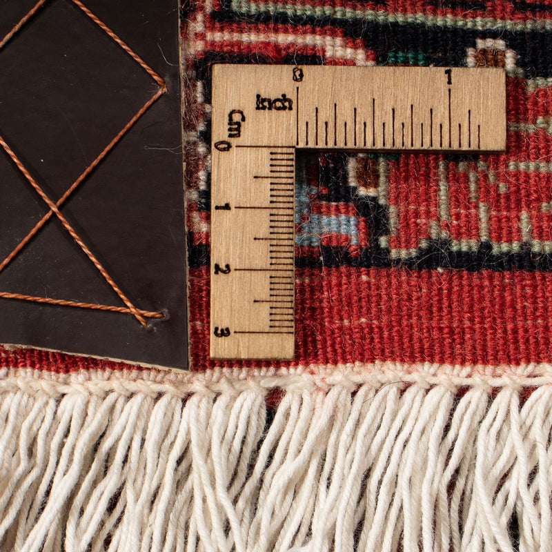 Perserteppich - Bidjar 300 x 203 cm