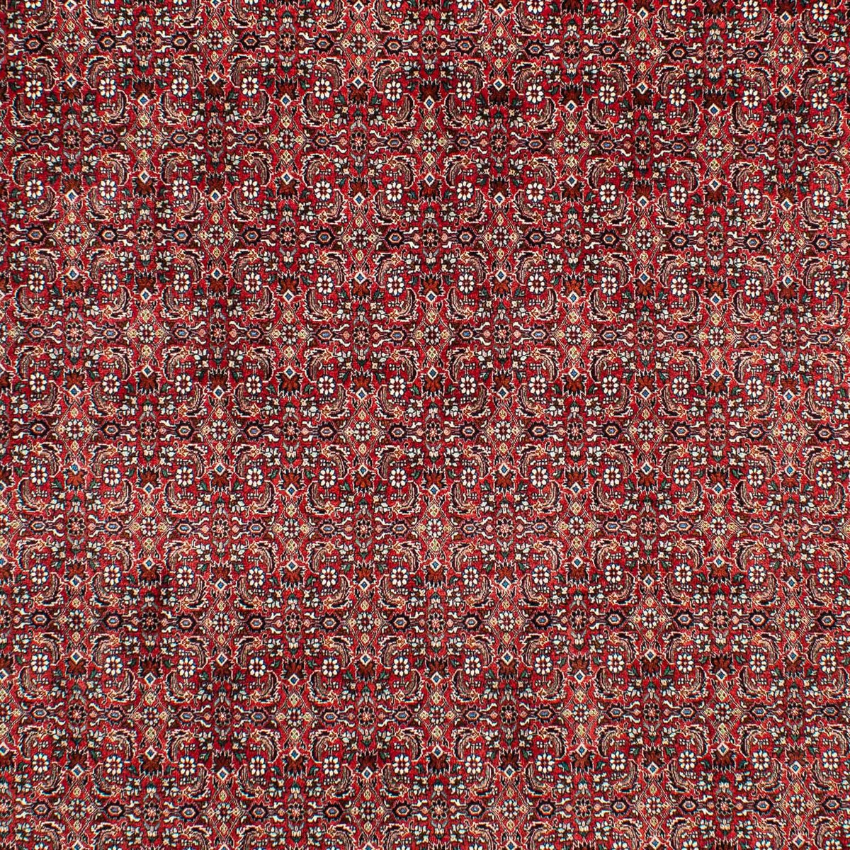 Perserteppich - Bidjar 309 x 209 cm