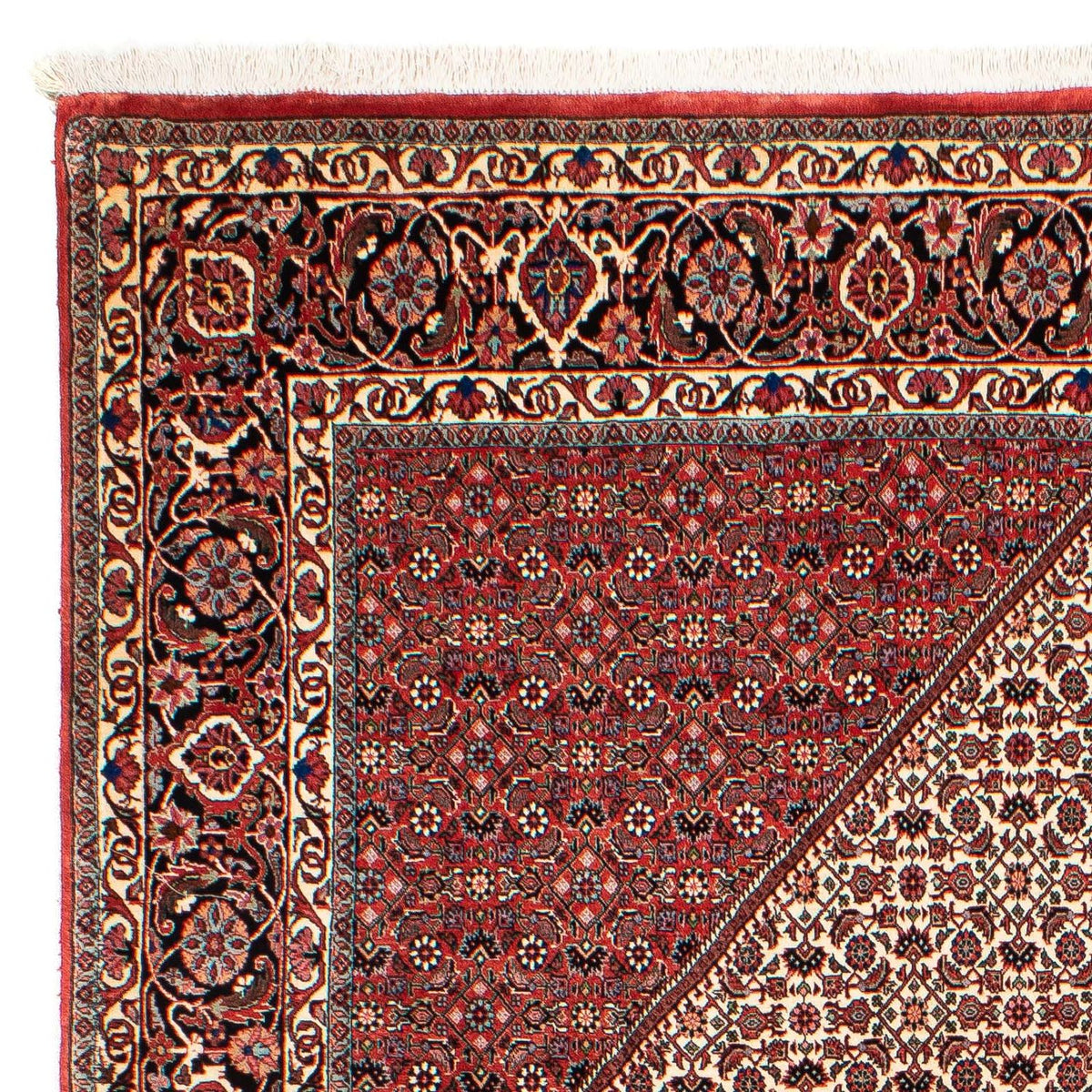 Perserteppich - Bidjar 289 x 204 cm