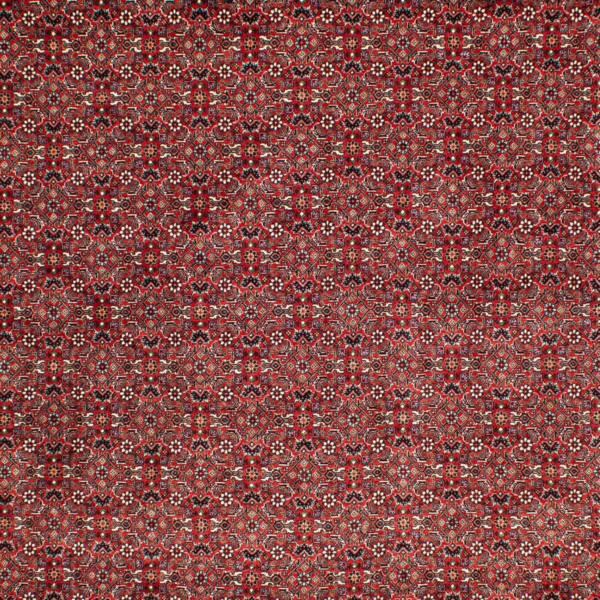 Perserteppich - Bidjar 302 x 210 cm