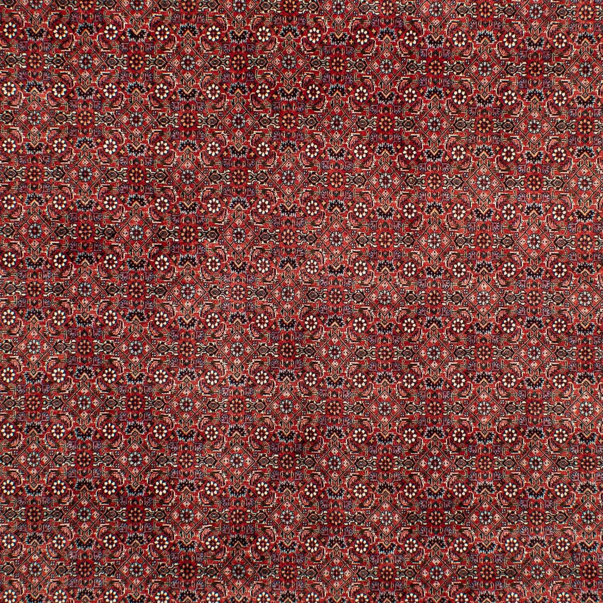 Perserteppich - Bidjar 299 x 202 cm