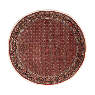 Bidjar Teppich 250x250cm - Perserteppich