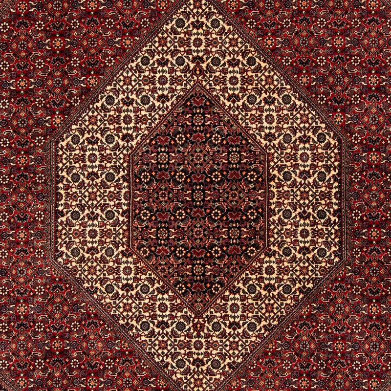 Perserteppich - Bidjar 254 x 204 cm