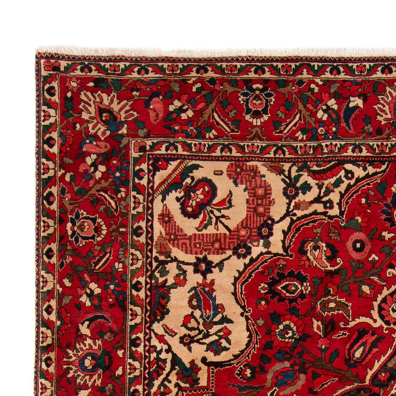 Perserteppich - Nomadic 362 x 258 cm