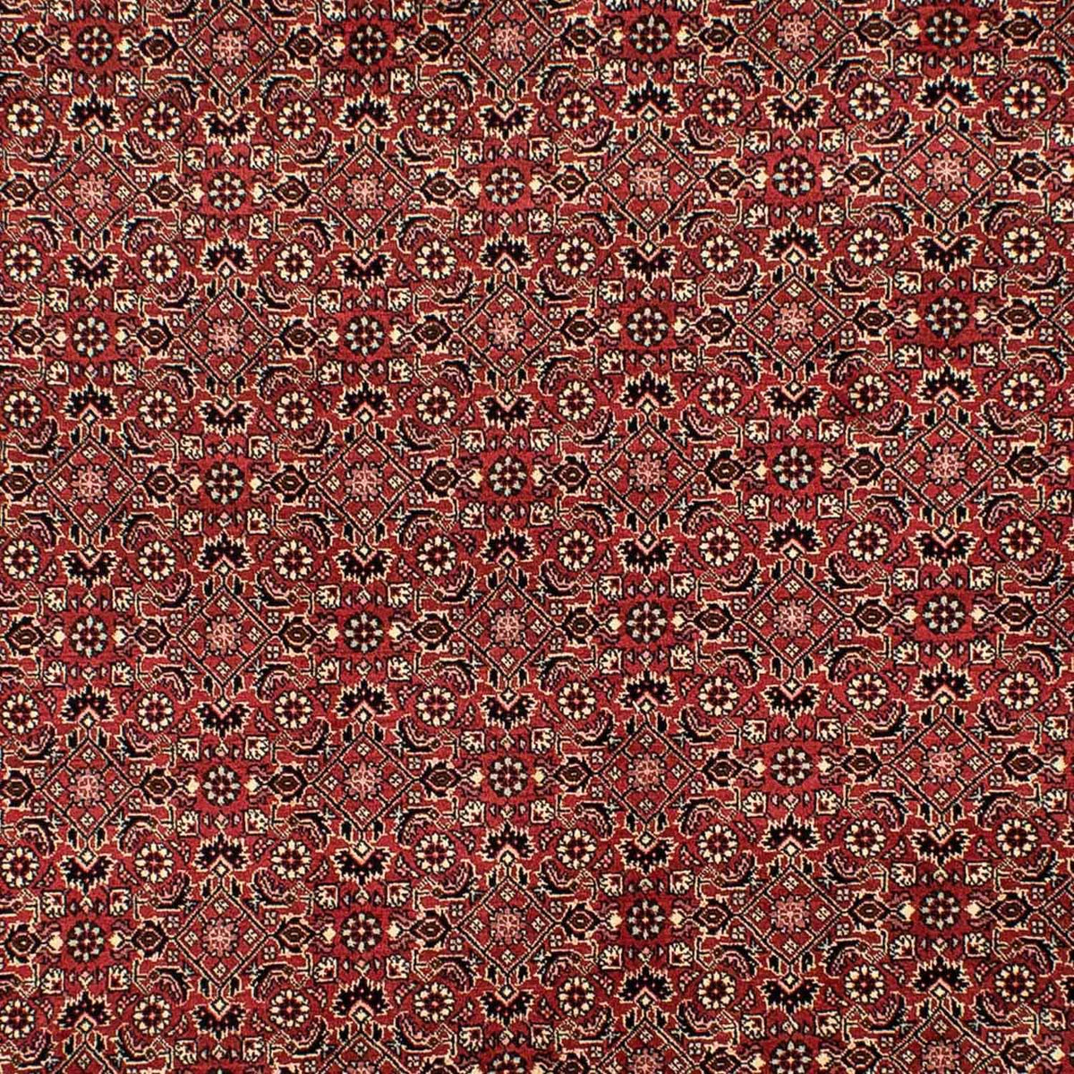 Perserteppich - Bidjar 305 x 198 cm