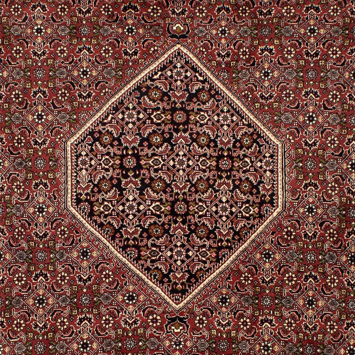 Perserteppich - Bidjar 300 x 197 cm