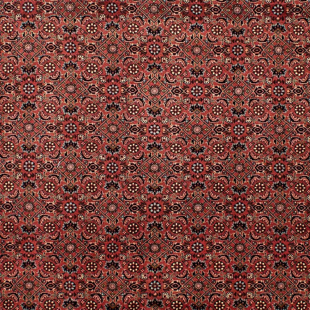 Perserteppich - Bidjar 292 x 203 cm