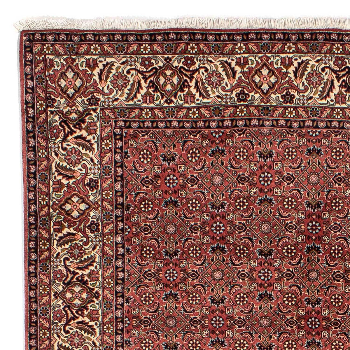 Perserteppich - Bidjar 292 x 203 cm