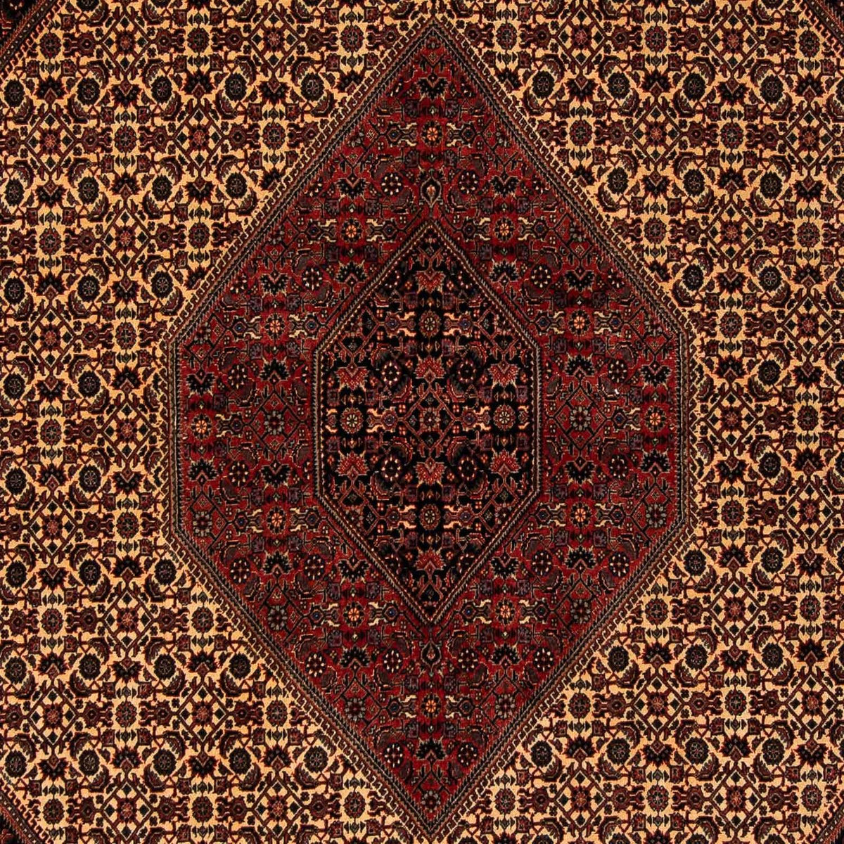 Perserteppich - Bidjar 250 x 200 cm