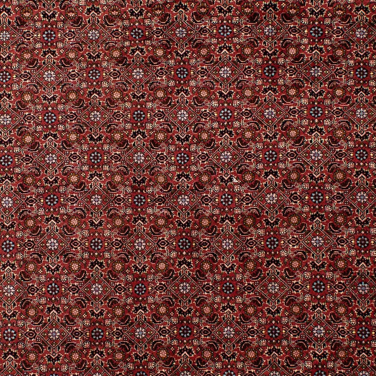 Perserteppich - Bidjar 288 x 198 cm