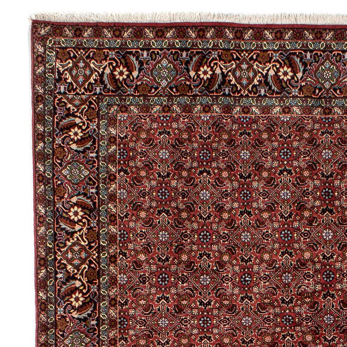 Perserteppich - Bidjar 288 x 198 cm