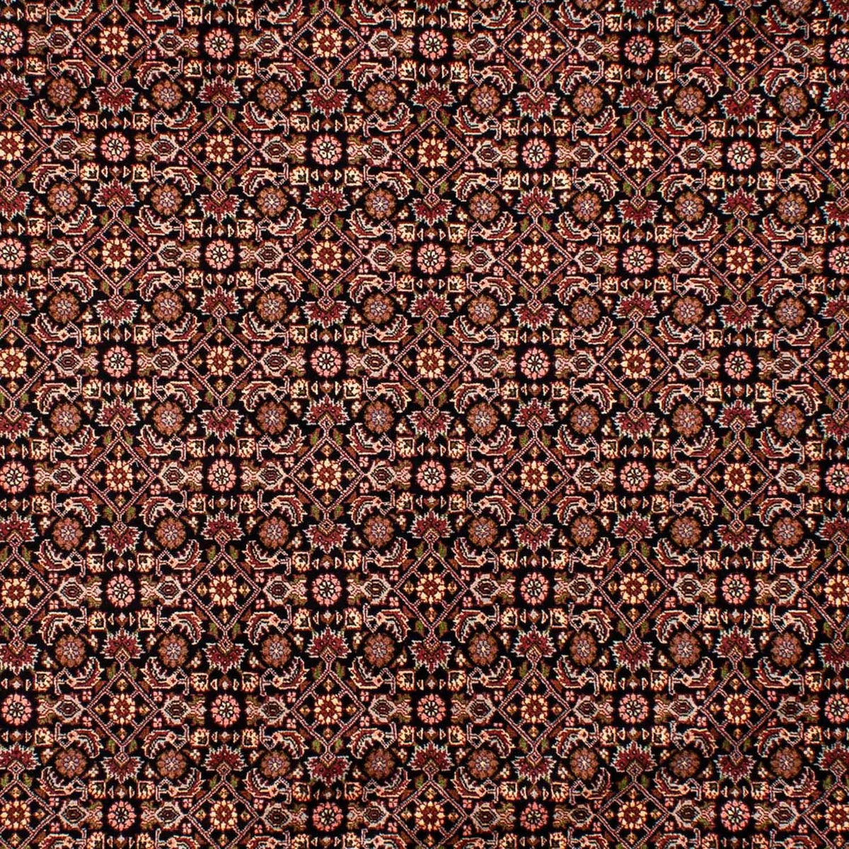 Perserteppich - Bidjar 292 x 199 cm