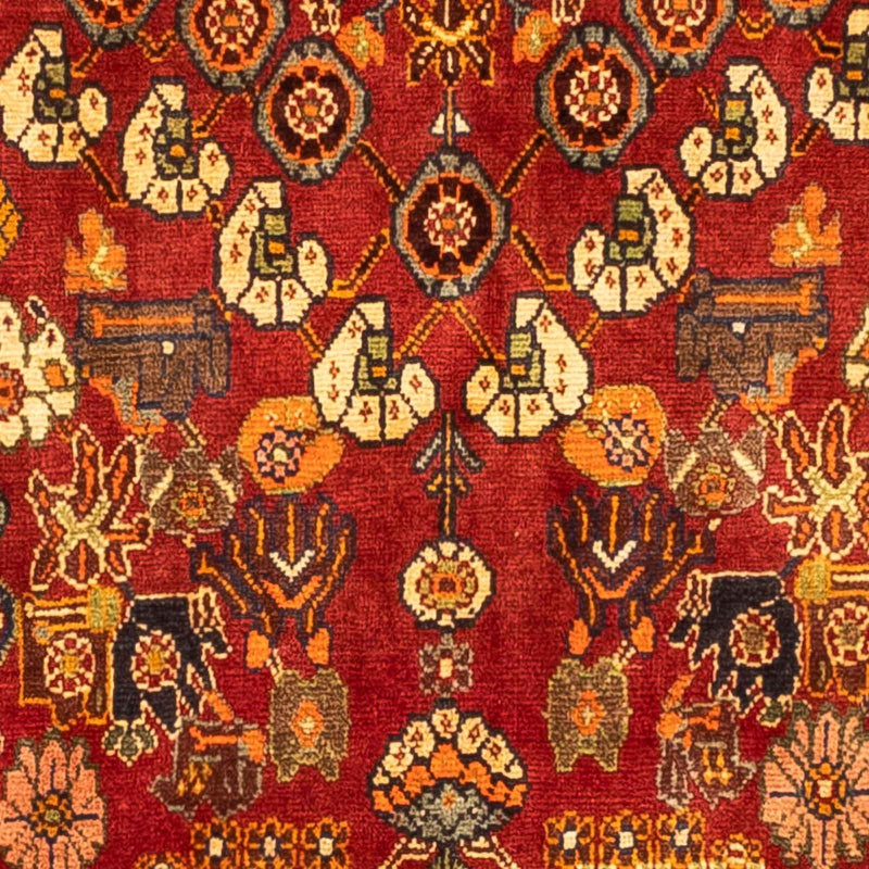 Perserteppich - Nomadic 277 x 169 cm