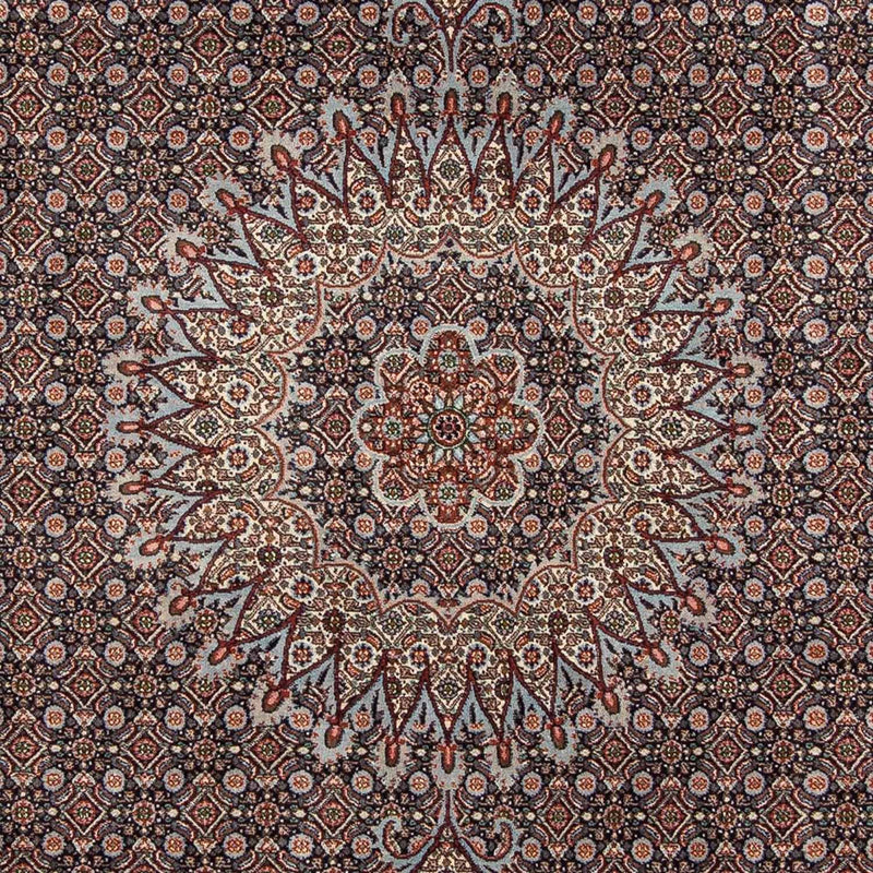 Perserteppich - Classic 273 x 211 cm