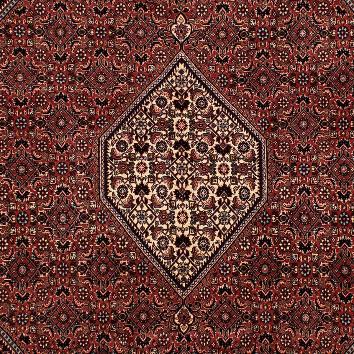 Perserteppich - Bidjar 302 x 198 cm