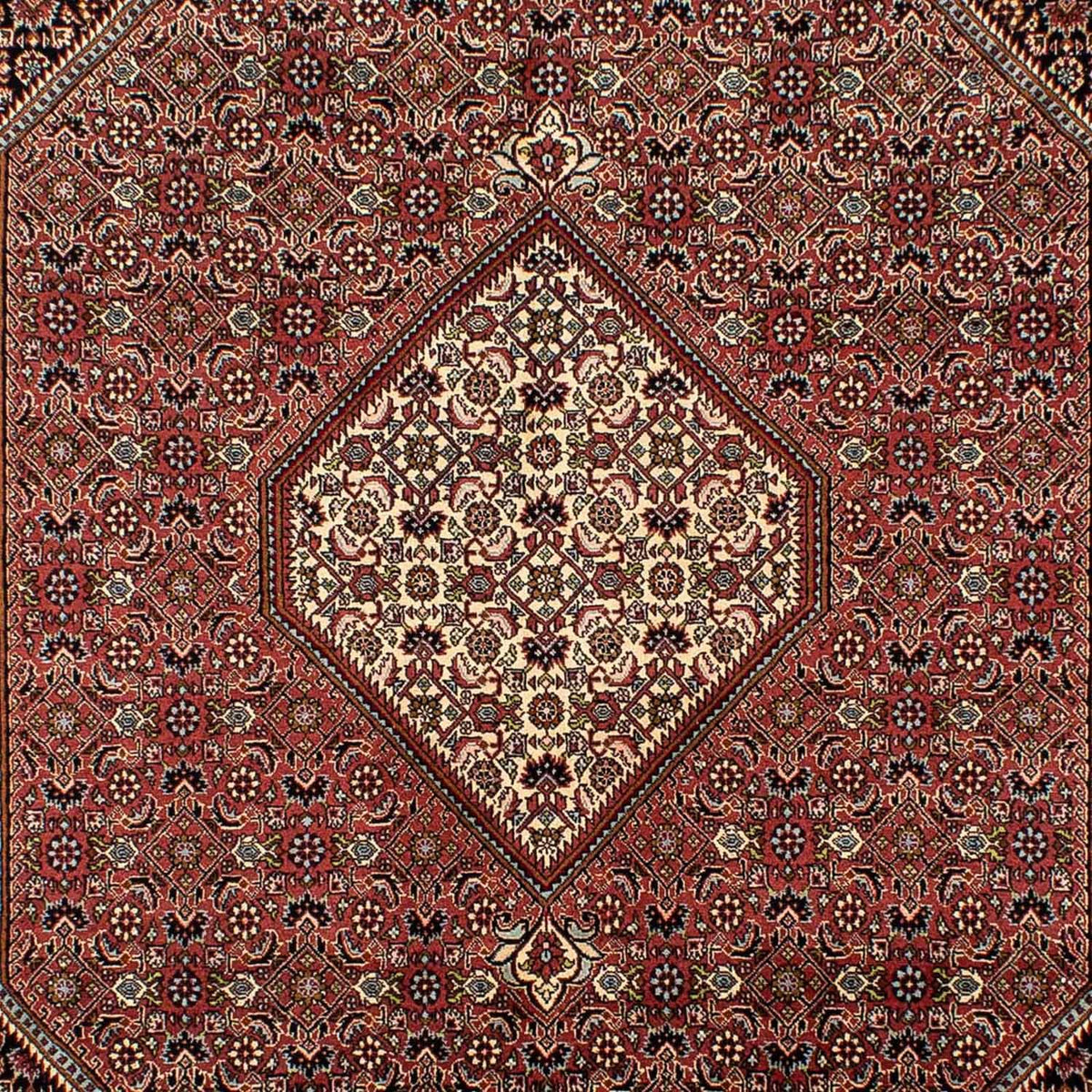 Perserteppich - Bidjar 298 x 195 cm