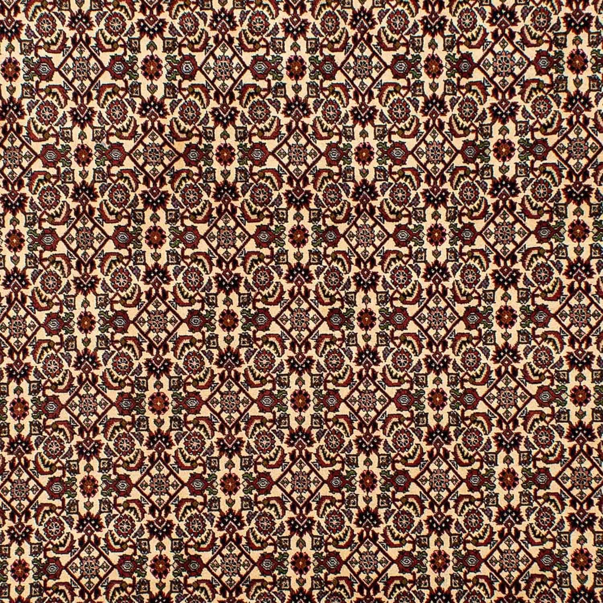 Perserteppich - Bidjar 298 x 200 cm - beige