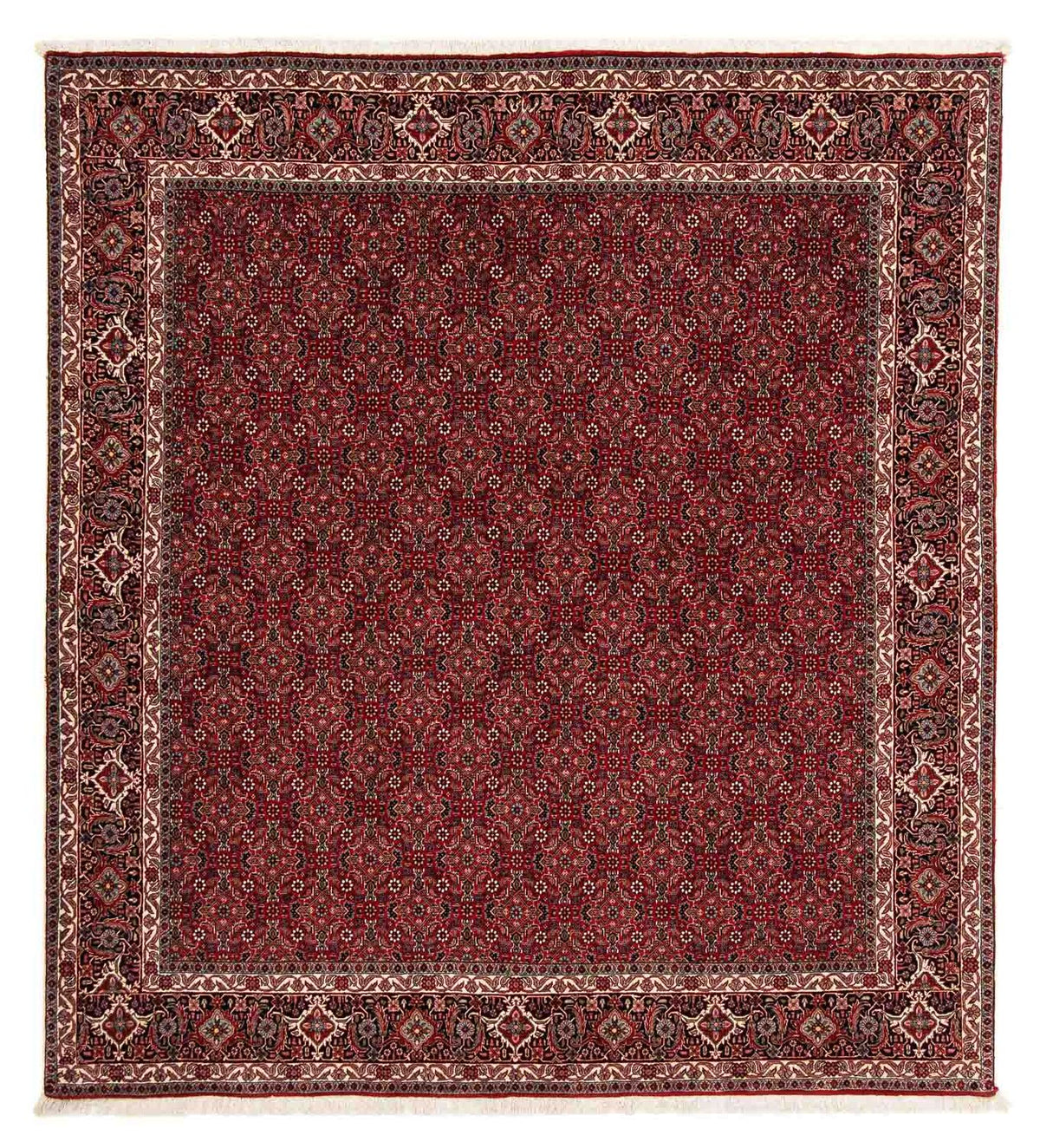 Perserteppich - Bidjar 212 x 206 cm