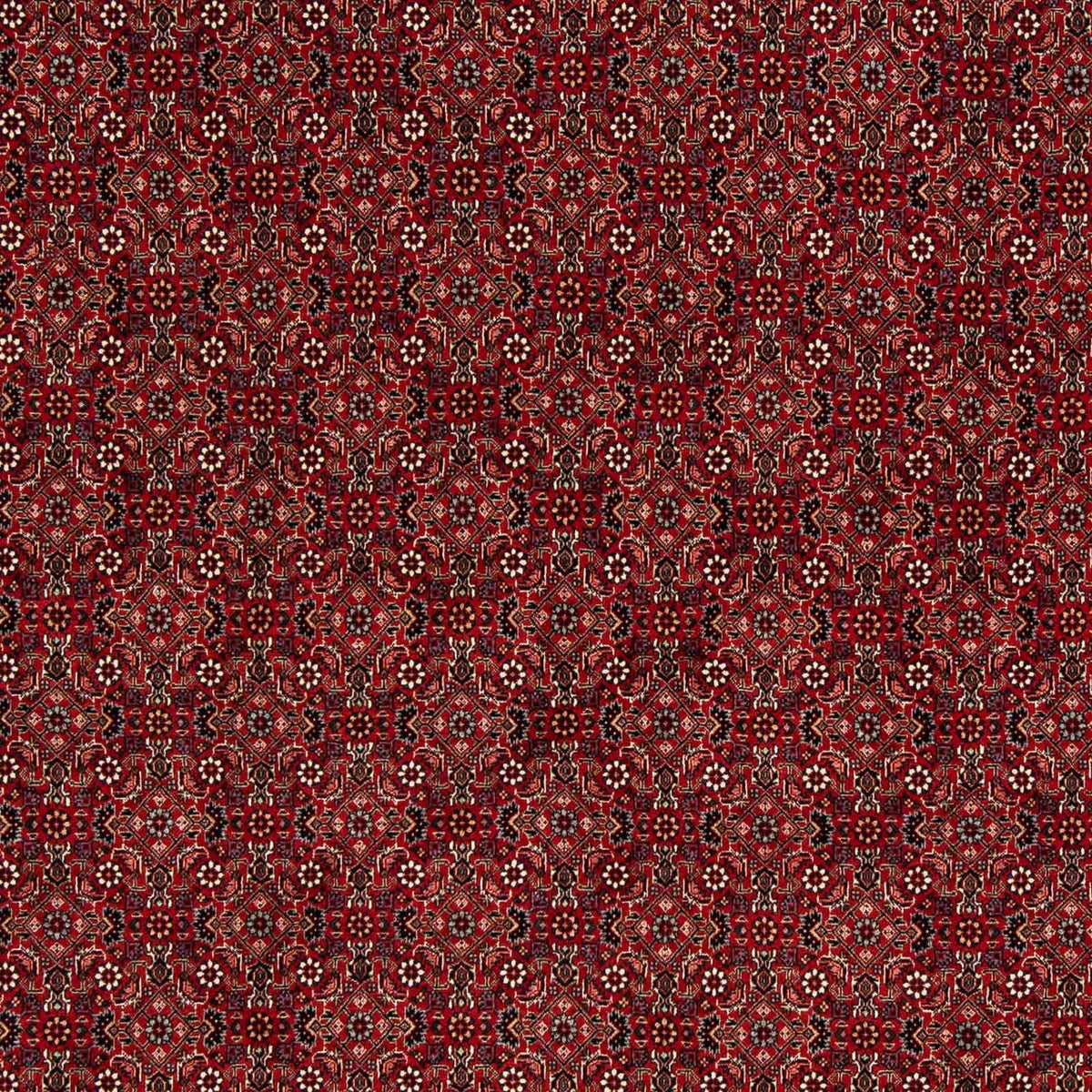 Perserteppich - Bidjar 212 x 206 cm