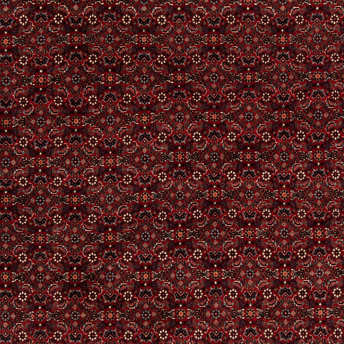 Perserteppich - Bidjar 212 x 205 cm