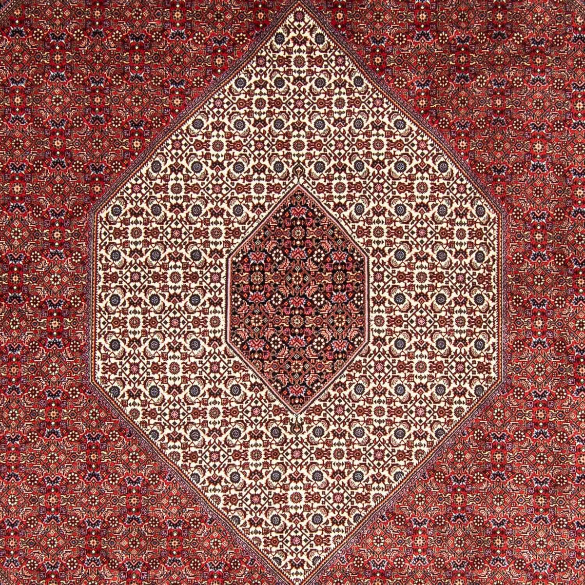 Perserteppich - Bidjar 348 x 252 cm Teppich Wohnzimmer